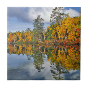 Autumn pond reflections, Maine Ceramic Tile