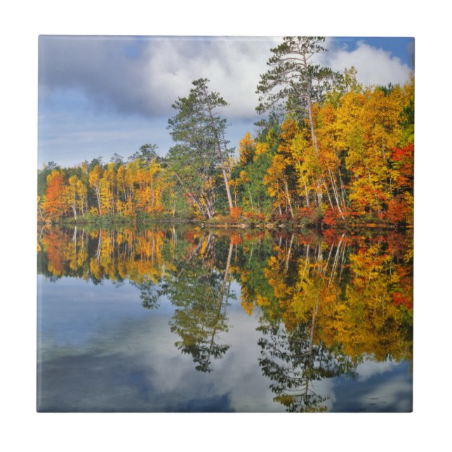 Autumn pond reflections, Maine Ceramic Tile (Front)