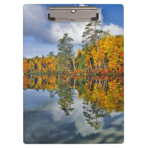 Autumn pond reflections, Maine Clipboard