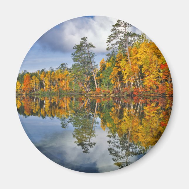 Autumn pond reflections, Maine Magnet (Front)