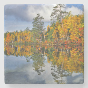 Autumn pond reflections, Maine Stone Coaster