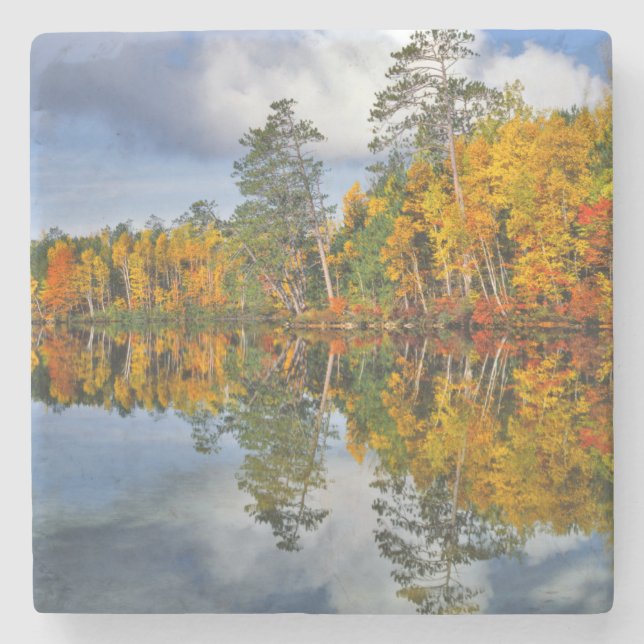 Autumn pond reflections, Maine Stone Coaster (Front)