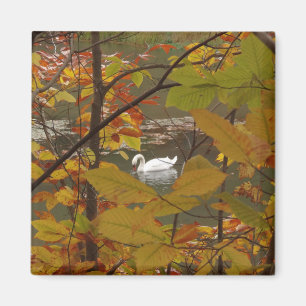 Autumn Pond with Swan Magnet