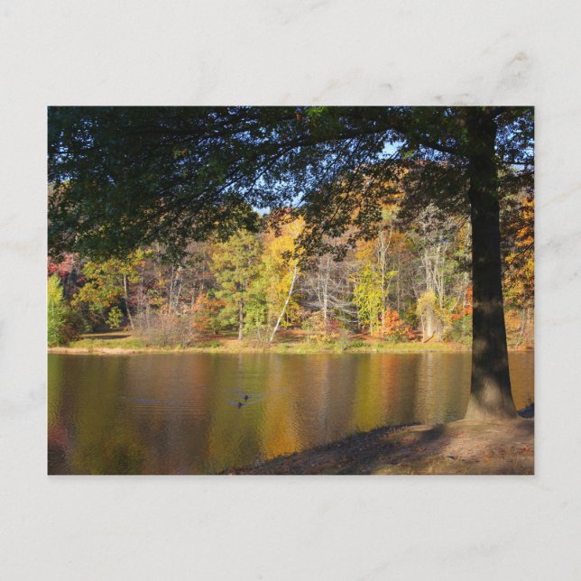 Autumn Post Card Rockwell Park Bristol CT (Front)