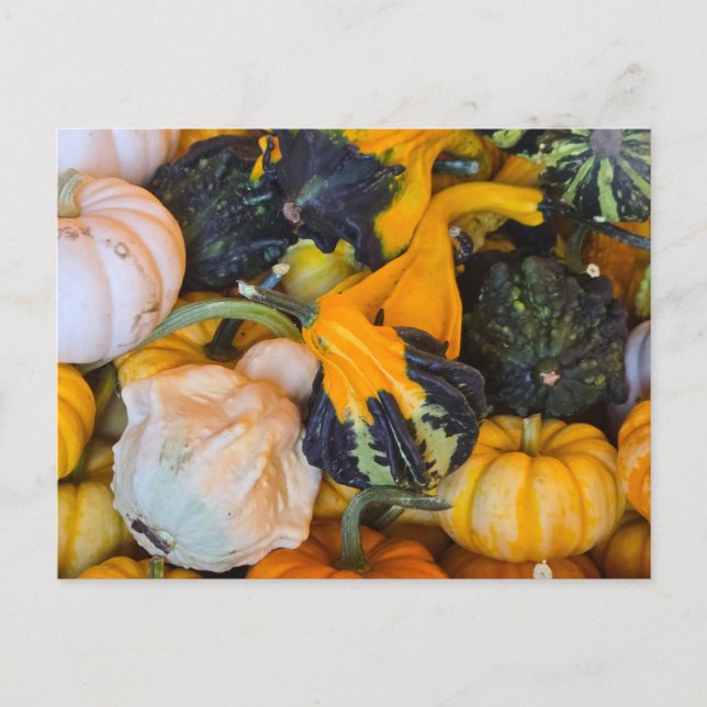Autumn  postcard (Front)