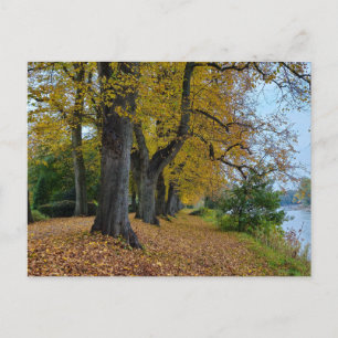 Autumn postcard