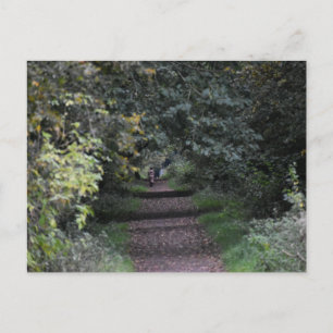 Autumn  postcard