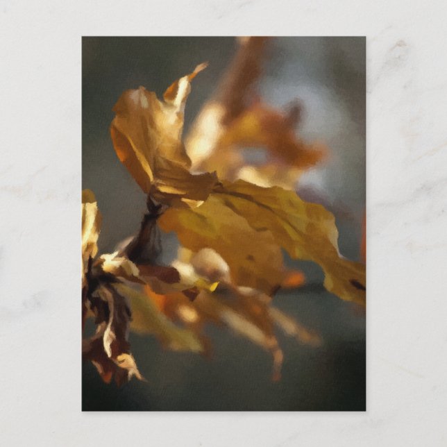 Autumn Postcard (Front)