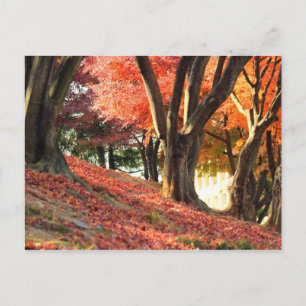 Autumn Postcard