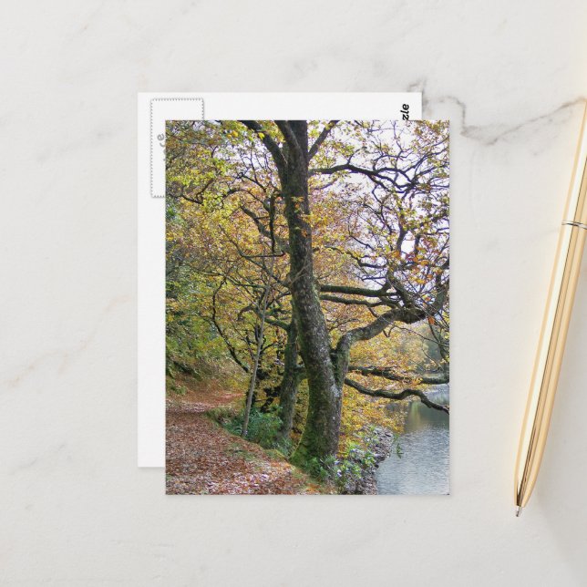 AUTUMN POSTCARD (Front/Back In Situ)