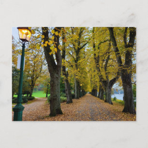 Autumn  postcard
