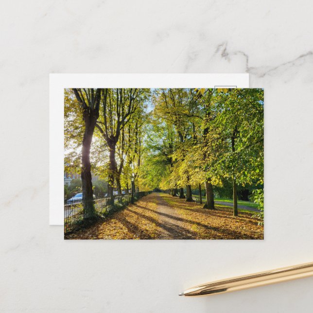 Autumn  postcard (Front/Back In Situ)