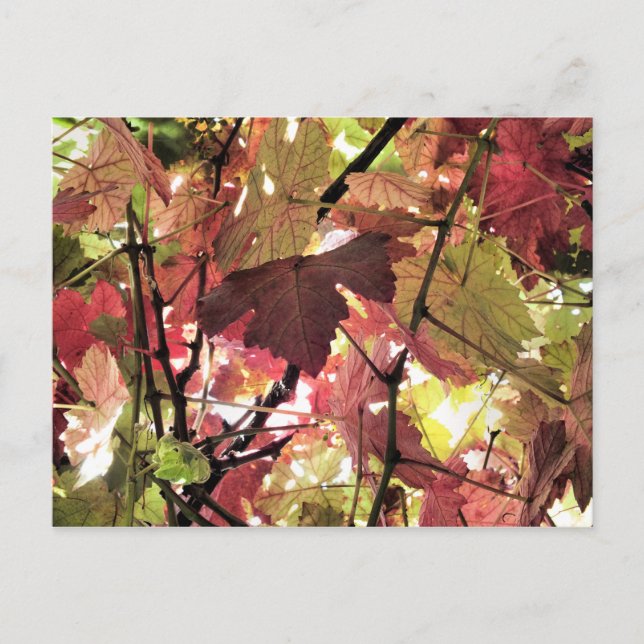 AUTUMN POSTCARD (Front)