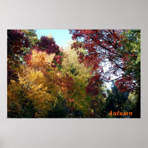 Autumn Poster