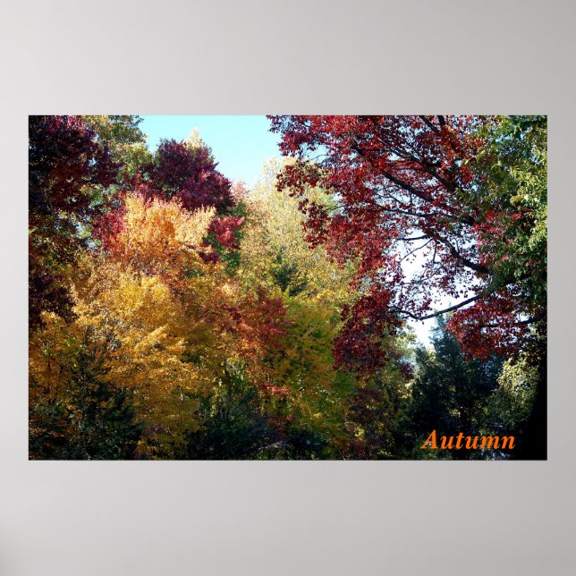 Autumn Poster (Front)