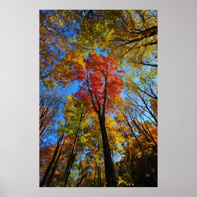 Autumn Poster (Front)
