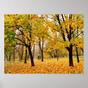 Autumn Poster