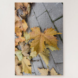 autumn proofs jigsaw puzzle