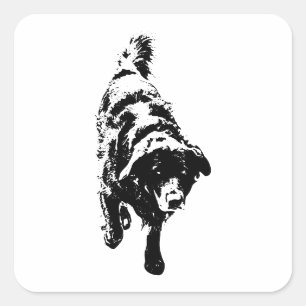 Autumn Prowl Pup Square Sticker