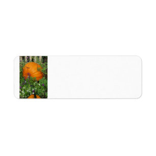 Autumn Pumpkin garden Address Label Return Address Label