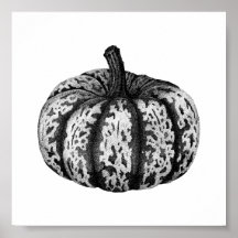 Autumn Pumpkin Ink Stipple Drawing Poster
