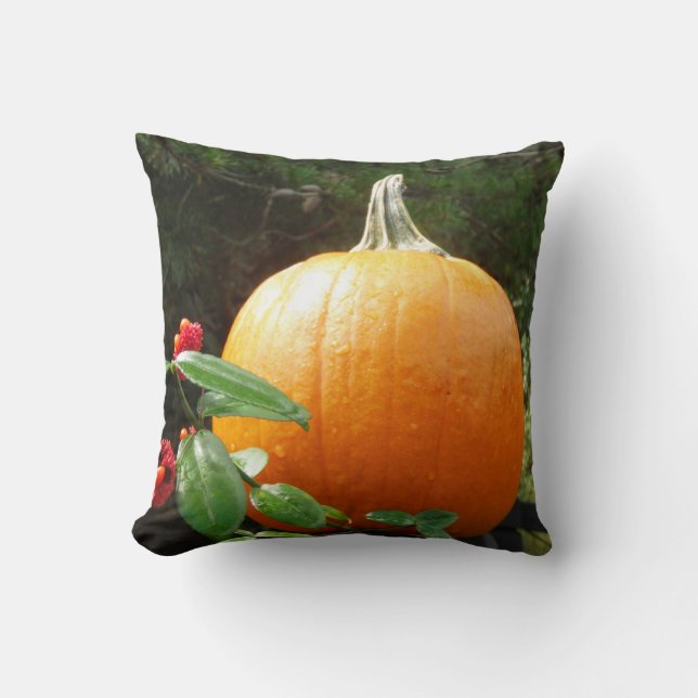 autumn pumpkin on a black fence cushion (Front)