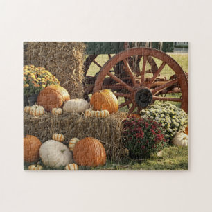 Autumn Pumpkins And Mum Display Jigsaw Puzzle