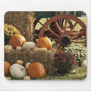 Autumn Pumpkins And Mum Display Mouse Pad