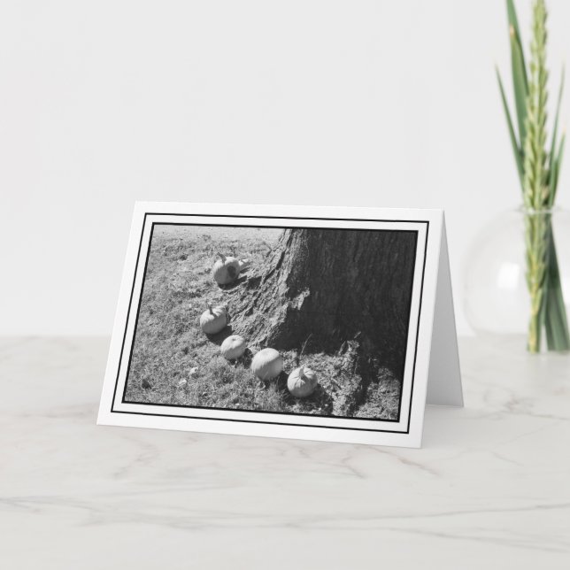 Autumn Pumpkins Blank Greeting Card (Front)