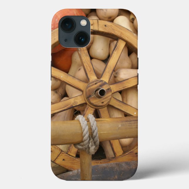  Autumn pumpkins Case-Mate iPhone Case (Back)