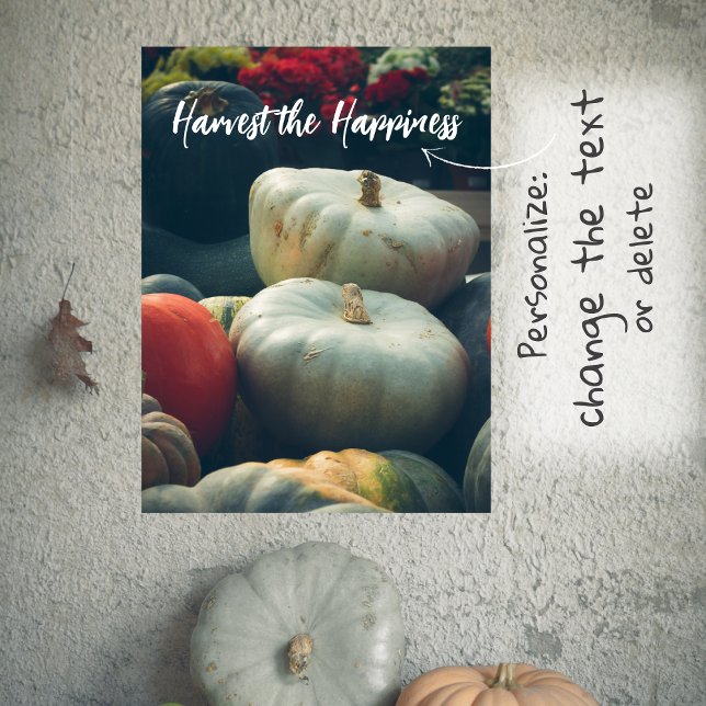  Autumn pumpkins in a rustic garden Poster (Creator Uploaded)