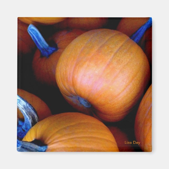 'Autumn Pumpkins' Magnet (Front)