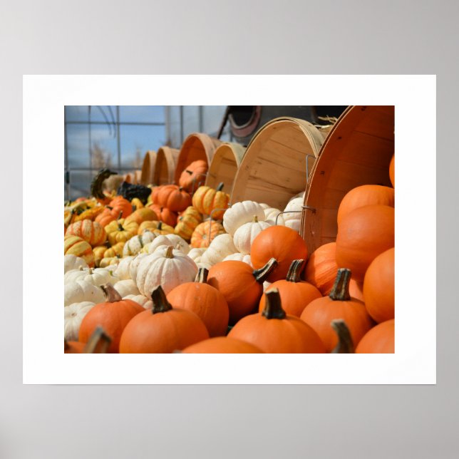 Autumn Pumpkins Poster (Front)