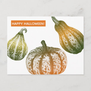 Autumn Pumpkins Stipple Drawing Postcard