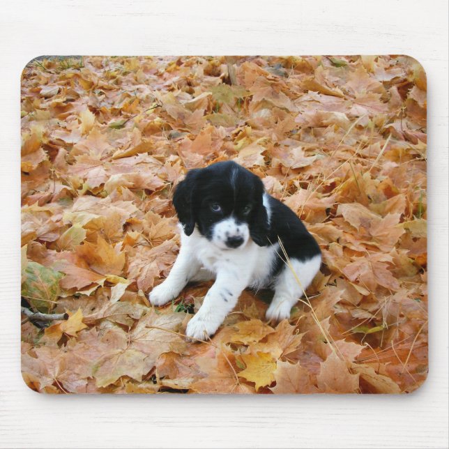 Autumn Puppy Mouse Pad (Front)