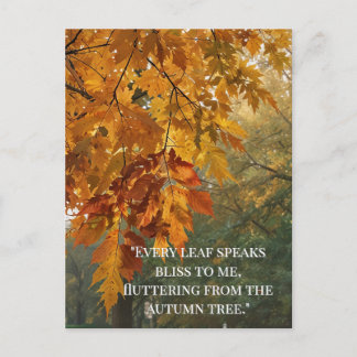 Autumn Quotes Forest Trees Leaves Ways  Postcard
