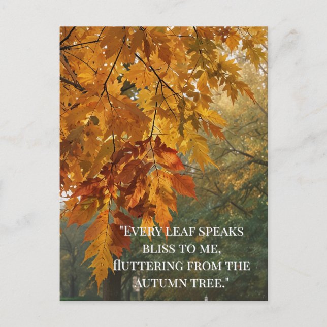 Autumn Quotes Forest Trees Leaves Ways  Postcard (Front)