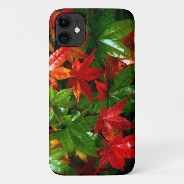 Autumn Rain Case-Mate iPhone Case (Back)