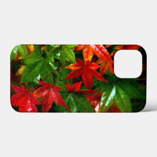 Autumn Rain iPhone 13 Mini Case