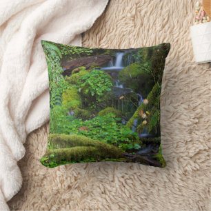 Autumn Rainforest   Olympic National Park Cushion