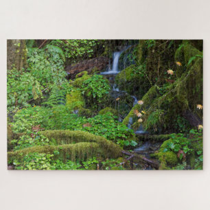 Autumn Rainforest   Olympic National Park Jigsaw Puzzle