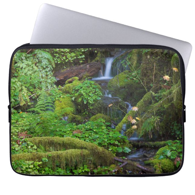 Autumn Rainforest | Olympic National Park Laptop Sleeve (Front)