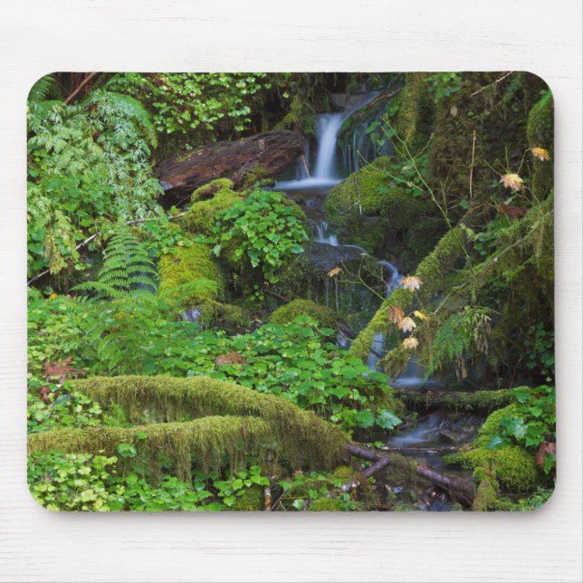 Autumn Rainforest | Olympic National Park Mouse Pad (Front)