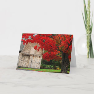 Autumn Red Card