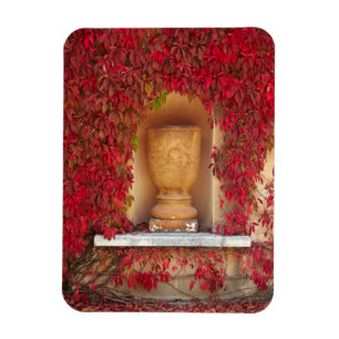 Autumn red foliage, New Zealand Magnet