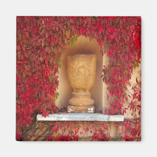 Autumn red foliage, New Zealand Magnet