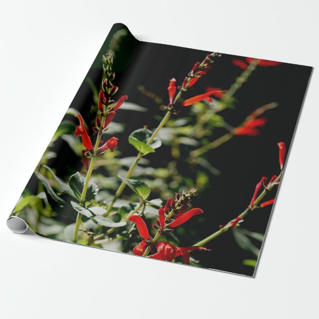Autumn Red Gift Wraping Paper (Unrolled)