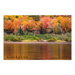 Autumn Red & Gold Photo Print