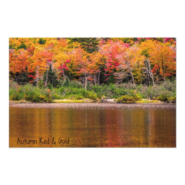 Autumn Red & Gold Photo Print (Front)