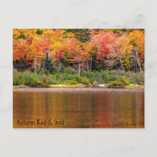 Autumn Red & Gold Postcard